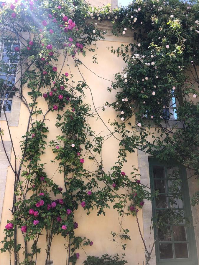 Maison D'Hotes De Charme บาเยอ ภายนอก รูปภาพ